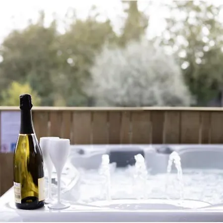 La Peniche De Fabrice Avec Jacuzzi Privatif Strasburg