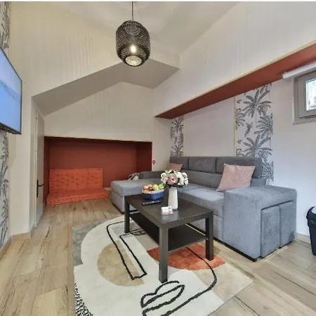 La Peniche De Fabrice Avec Jacuzzi Privatif Apartment Straßburg